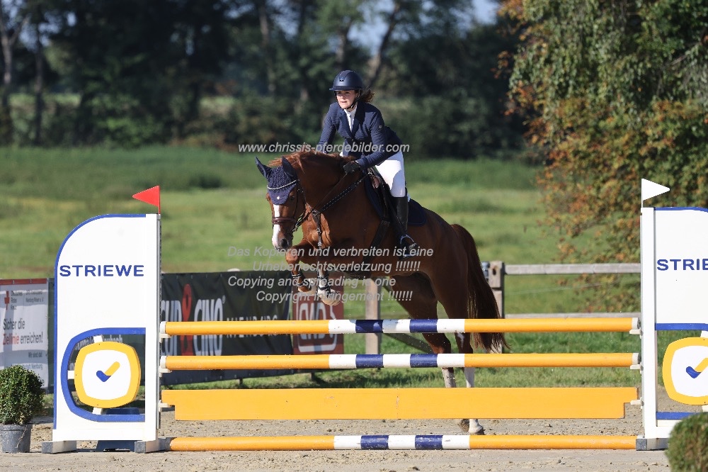 Preview antonia fischer mit bella belou IMG_0195.jpg